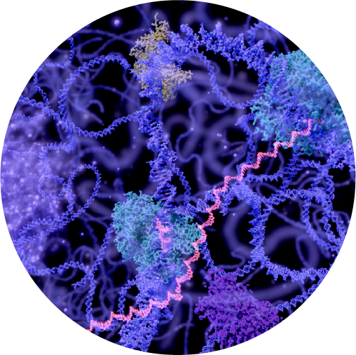Roundel image of multiple strands of DNA depicting long-read genomic sequencing