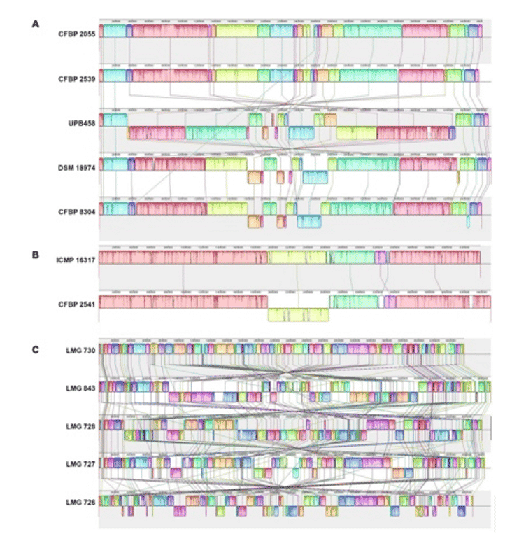 Goettelmann, F., et. al. (2022). Complete genome assemblies of All Xanthomonas translucens pathotype strains reveal three genetically distinct clades. Front Microbiol, 12. doi: 10.3389/fmicb.2021.817815