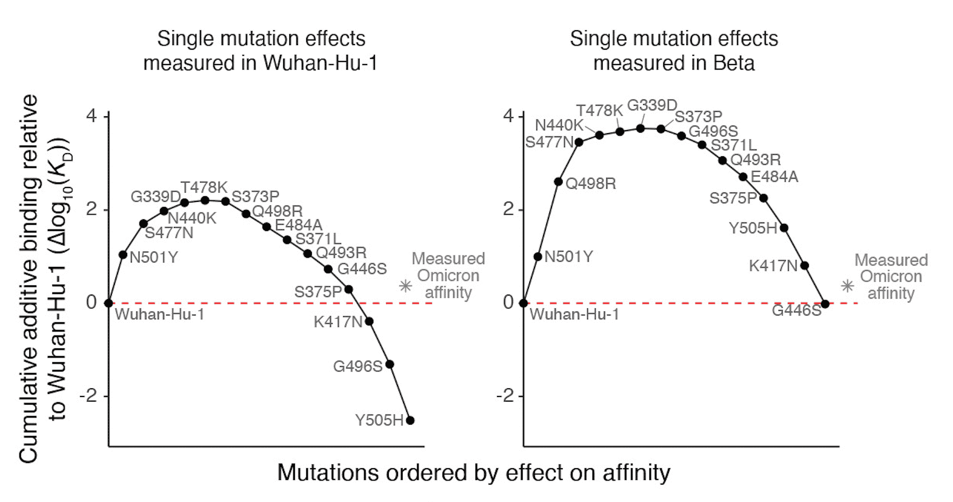 culminative-additive-binding-relative-to-wuhan-hu-1-vs-mutations-ordered-by-effect-on-affinity-graph from Science