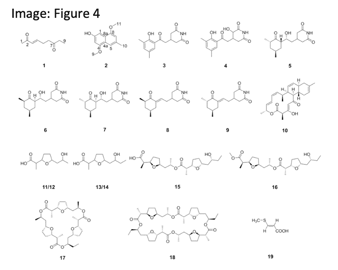 Liu, et. al. (2022). Exploration of diverse secondary metabolites from Streptomyces sp. YINM00001, using genome mining and one strain many compounds approach. Front in Microbiol.