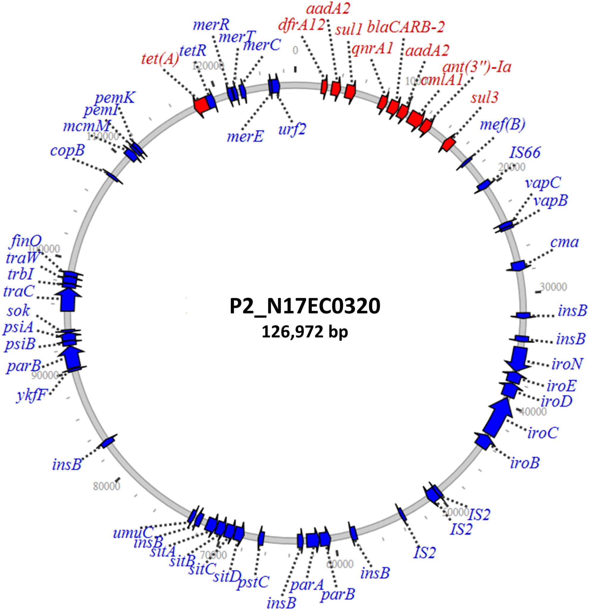 NARMS Scientists Track Antibiotic Resistance in Foodborne Bacteria Using SMRT Sequencing