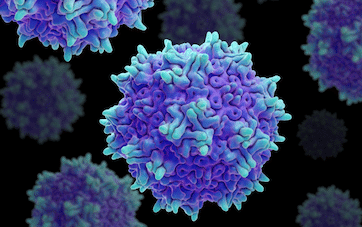 stock image of purple and blue round virus over black background