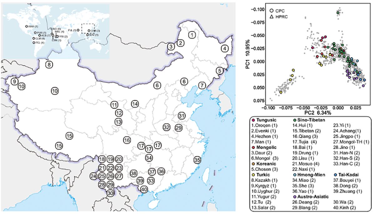 human pangenome China