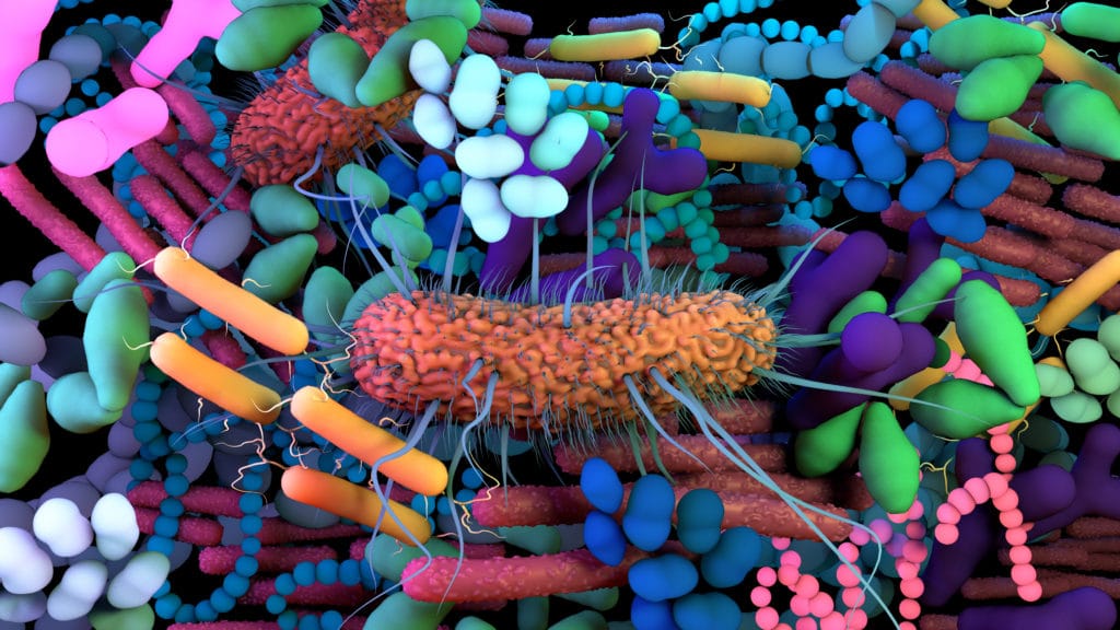 Shotgun metagenomics with HiFi reads: now more affordable - PacBio