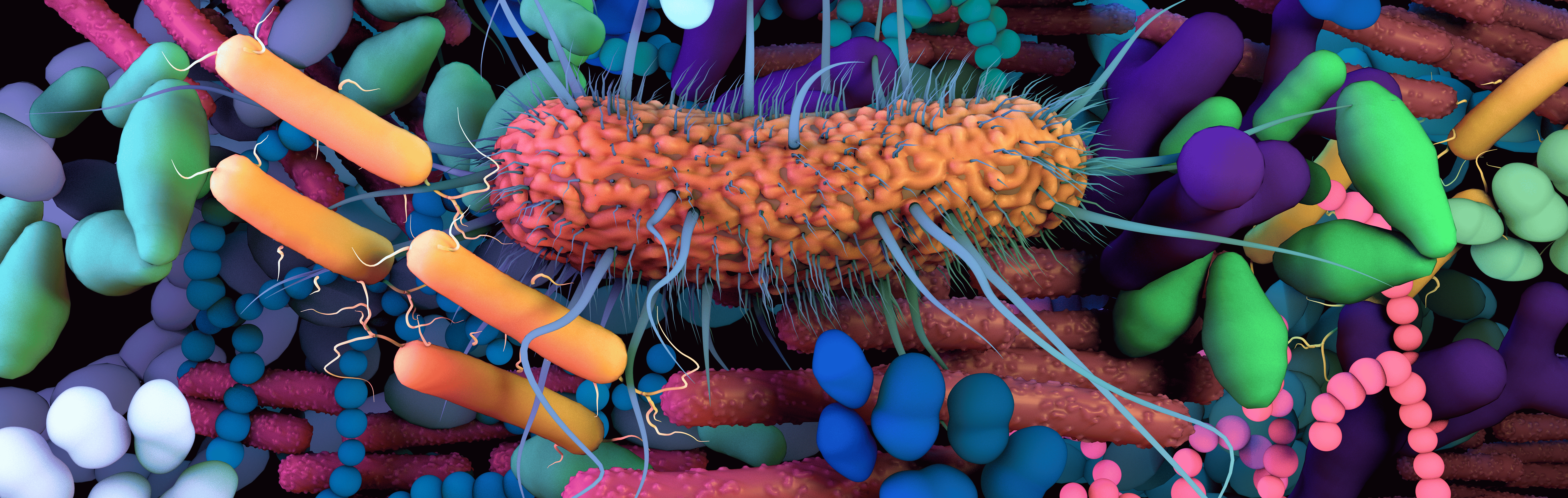 microbial community