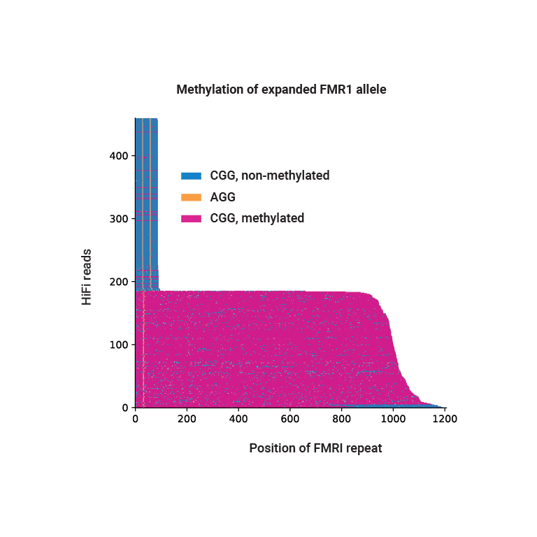 Atypical methylation patterns of expanded FMR1 allele comparing HiFi reads vs. position of FMR1 repeat - PacBio