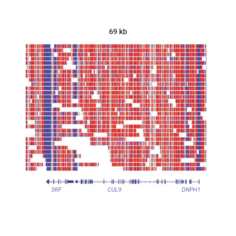 HiFi methylation patterns - PacBio