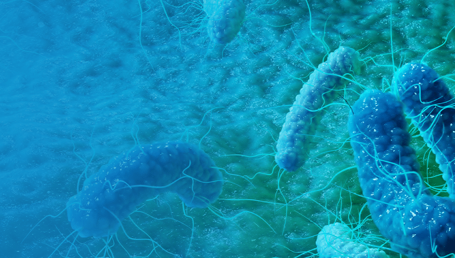 blue stock image of bacteria