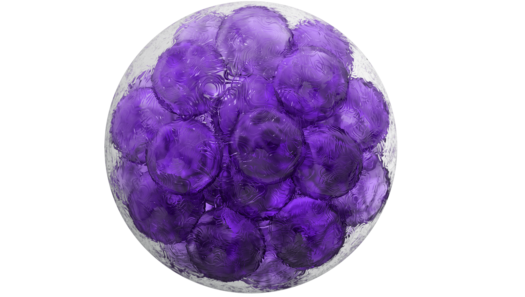 Roundel image of purple cluster of cells dividing