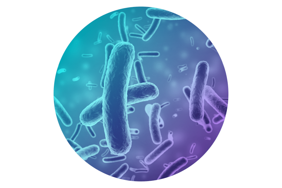 Blue Roundel image of bacteria - Identify and track antimicrobial resistance to improve human health