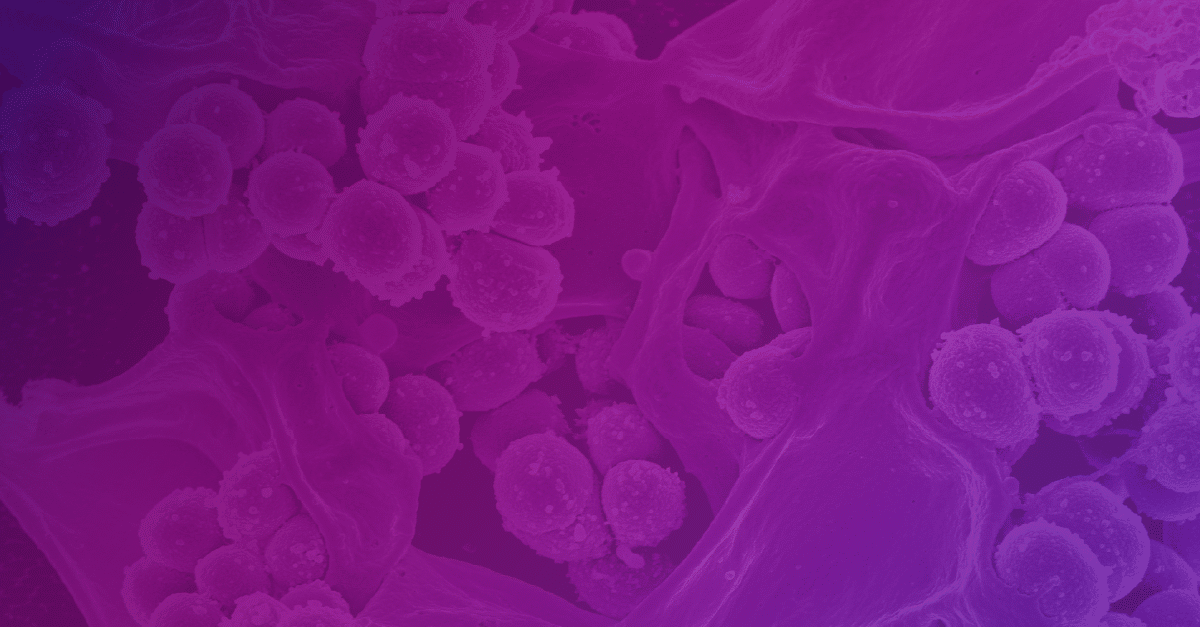 Stylized image representing immunology