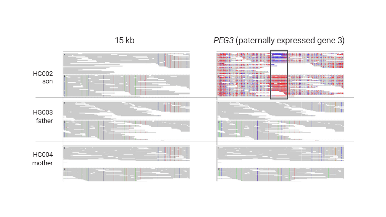 imprinting methylation from son, father and mother - PacBio