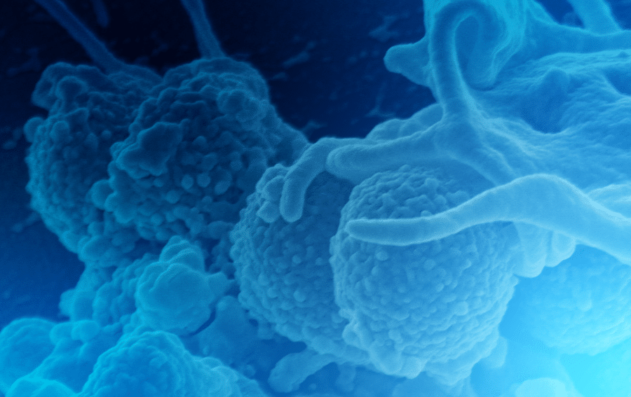 Immunology image - Stylized close-up of MRSA