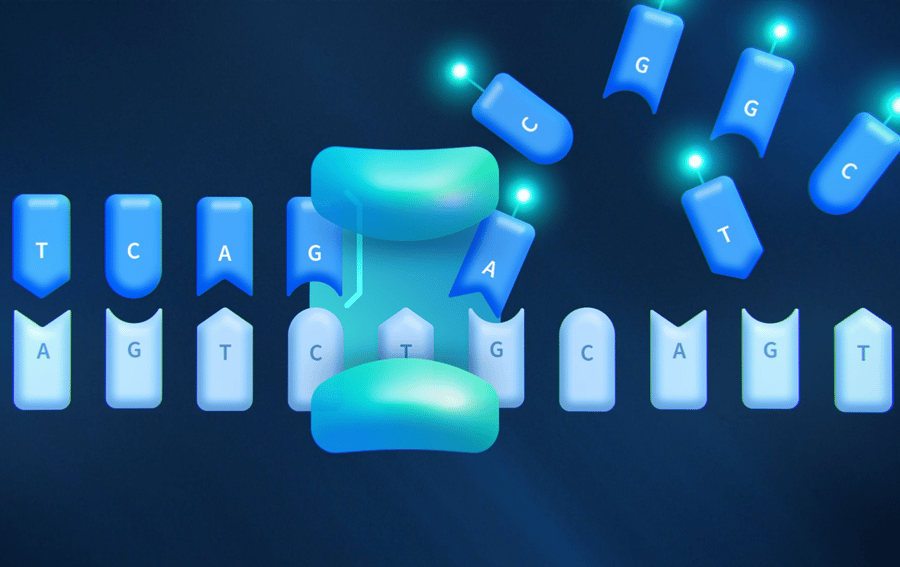 Image representing the chemistry of SBB - PacBio