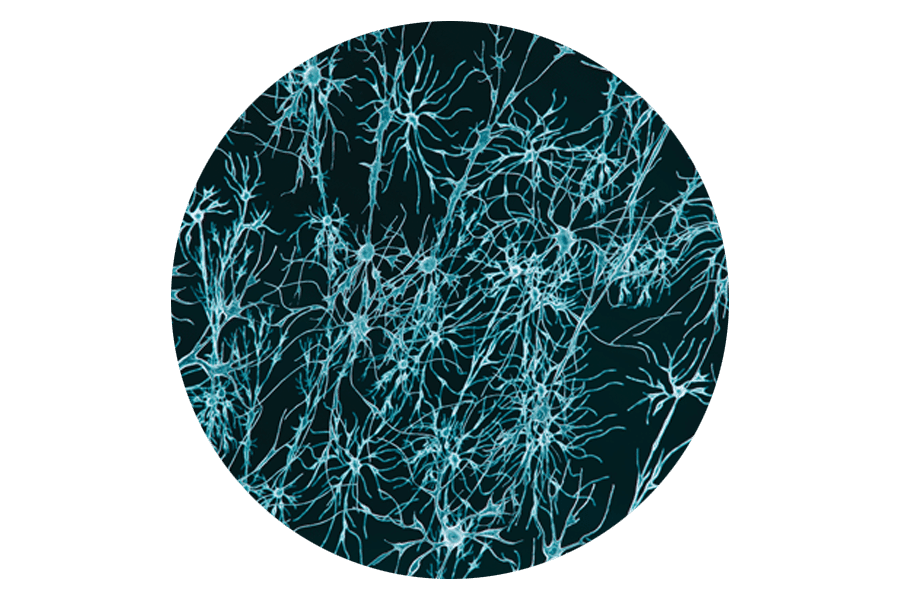 Roundel of Neurons on black background