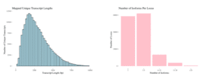 Mapped redwood Iso-Seq transcript length distribution and isoform complexity - PacBio