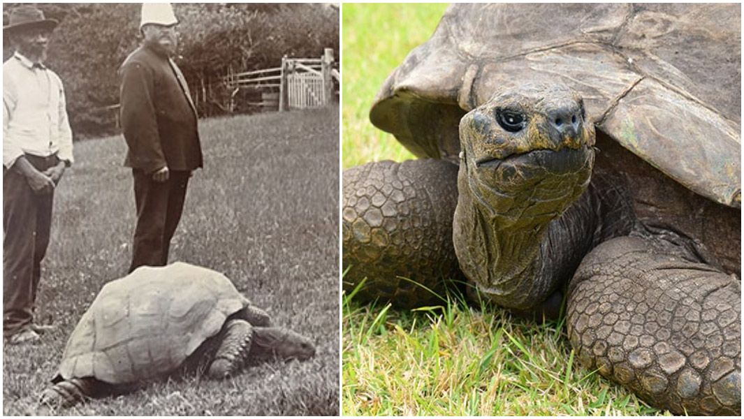 Jonathan pictured in 1886 already at age 54 (left) and in present day (right).