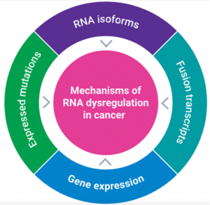 mechanisms of RNA dysregulation in cancer