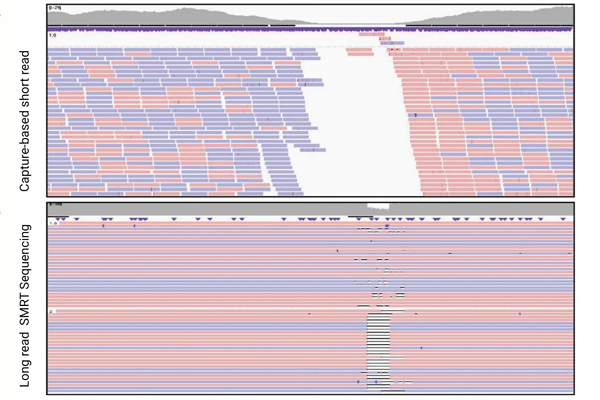 Phasing graph image showing comparison between capture-based short read and long-read SMRT sequencing - PacBio - PacBio