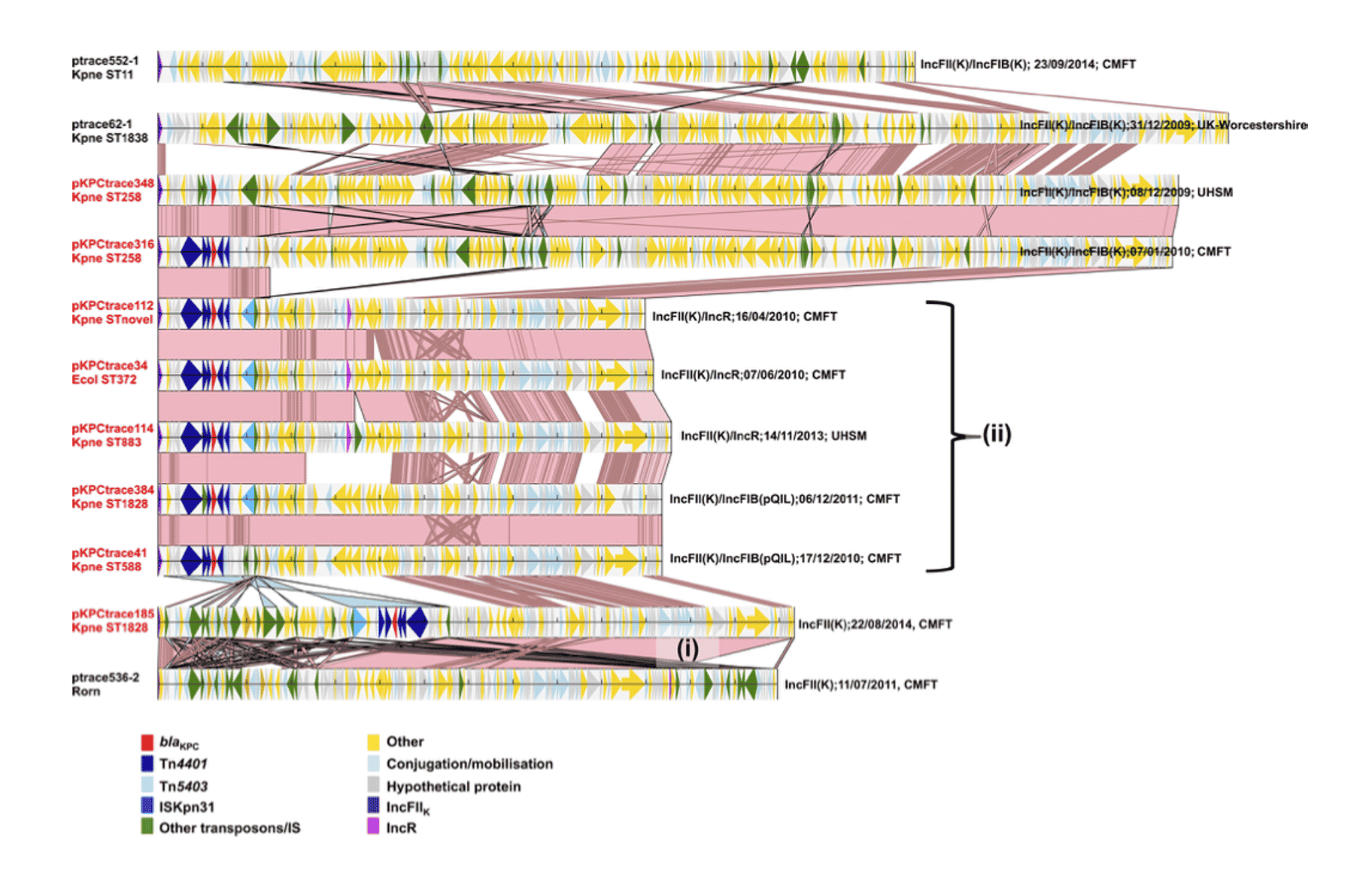 Stoesser, N., et. al. (2020) Genomic epidemiology of complex, multispecies, plasmid-borne blaKPC carbapenemase in Enterobacterales in the United Kingdom from 2009 to 2014. Antimicrob Agents Chemother, (64)5, p.e02244-19.