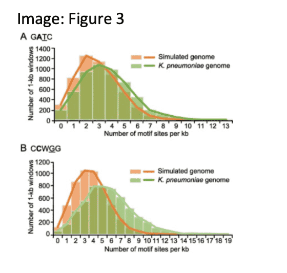 Fu, J. et.al. (2021) Precision methylome and in vivo methylation kinetics characterization of Klebsiella pneumoniae. Genom, Prot, and Bioinf. doi: 10.1016/j.gpb.2021.04.002.