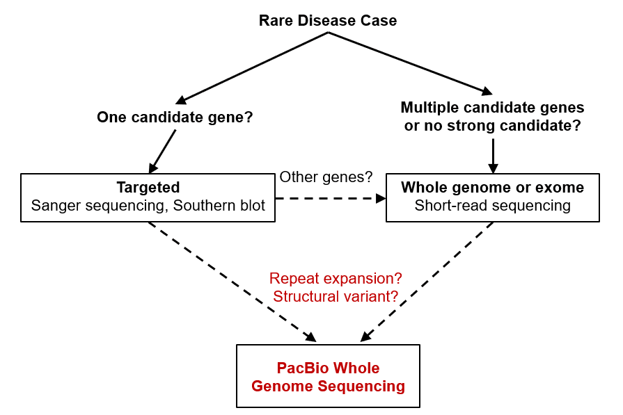 Review: Long-Read Sequencing Helps Uncover Genetic Basis for Rare Disease