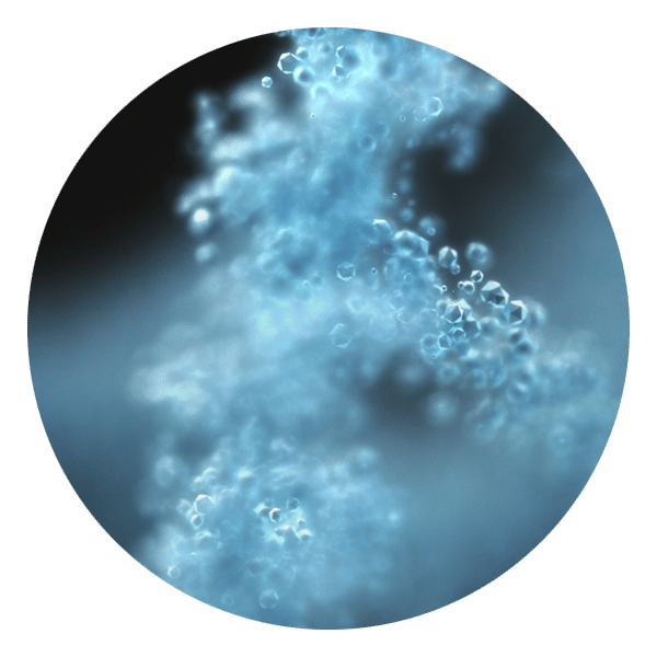 light blue roundel image of dna strands suspended in solution