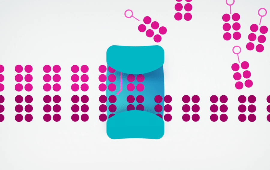 Image depicting how SBB chemistry works showing nucleotides